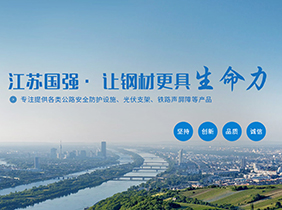 江苏国强控股集团有限公司